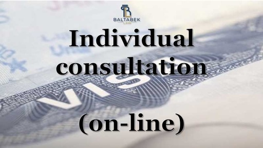 Individual Consultation (on-line)