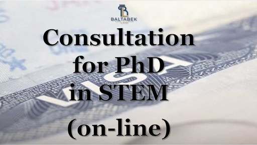Consultation for PhD in STEM (on-line)